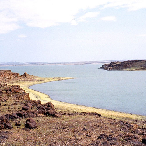 Arid & Semi-Arid Lands