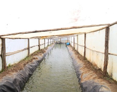 fish farm