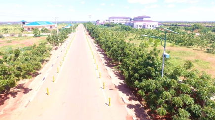 ﻿Photo showcasing the Mandera Greening Program in action.