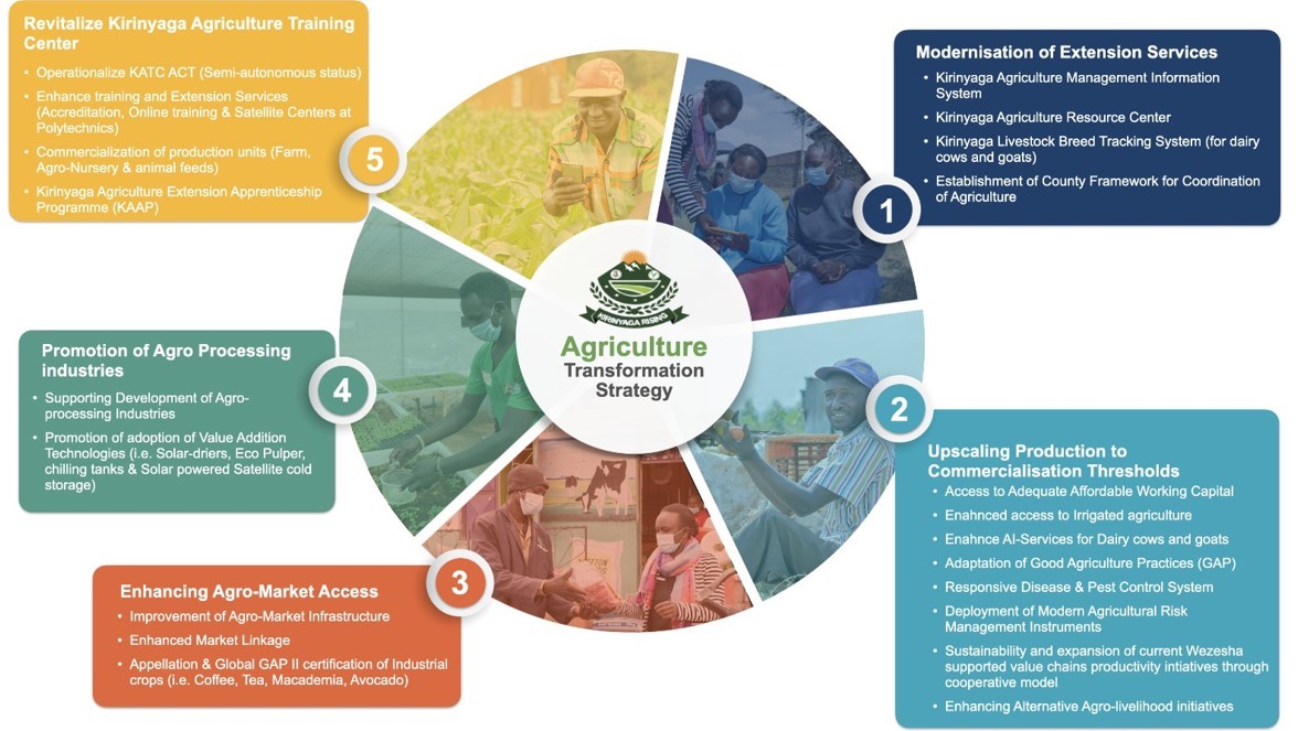 Wezesha Agricultural Transformation Strategy 